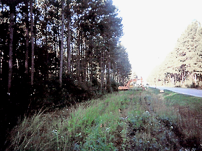 Bluffton, SC Land Clearing & Development Project