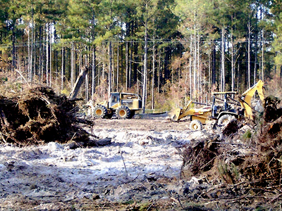 Bluffton, SC Land Clearing & Development Project