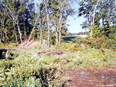 Saluda, VA Land Clearing & Development Project