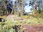 Saluda, VA Land Clearing & Development Project