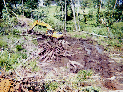 Saluda, VA Land Clearing & Development Project