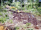 Saluda, VA Land Clearing & Development Project