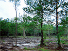 Wolfcreek, Land Clearing & Development Project