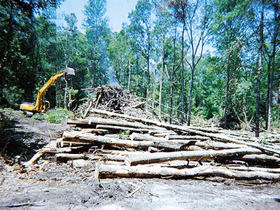 Wolfcreek, Land Clearing & Development Project
