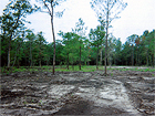 Wolfcreek, Land Clearing & Development Project